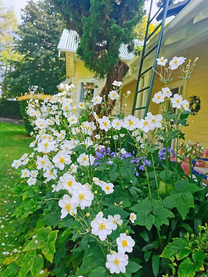 Country Villa Estate Ngongotaha Eksteriør billede