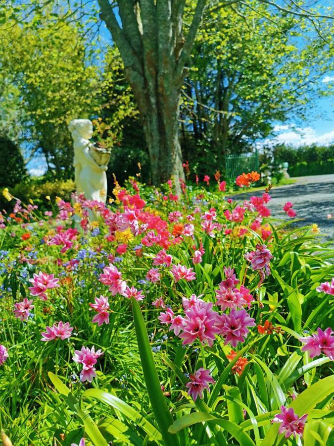 Country Villa Estate Ngongotaha Eksteriør billede