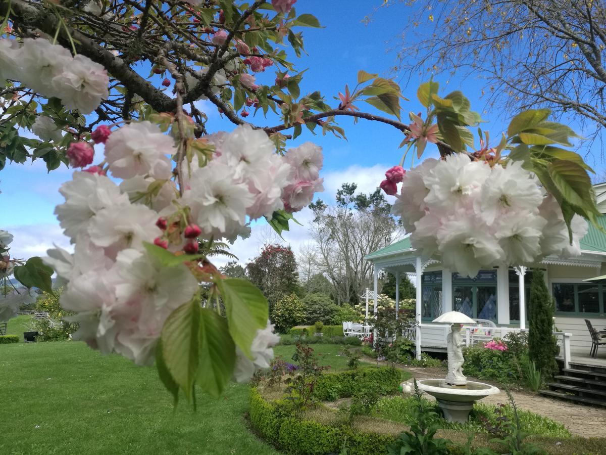 Country Villa Estate Ngongotaha Eksteriør billede