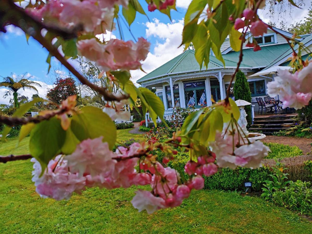 Country Villa Estate Ngongotaha Eksteriør billede